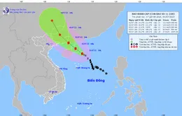 Bão số 1 giật cấp 14, cách Quảng Ninh 600km