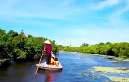 Độc đáo tour ''miệt vườn'' mùa vải chín