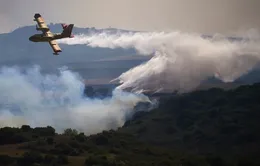 Cháy rừng hoành hành trong đợt nắng nóng tại Bồ Đào Nha, Tây Ban Nha