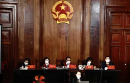 Vì sao hoãn phiên tòa xét xử vụ bé gái 8 tuổi bị bạo hành?