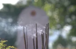 Những hành trình đi tìm các liệt sĩ