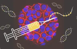 Công nghệ vaccine COVID-19 được sử dụng để điều trị ung thư