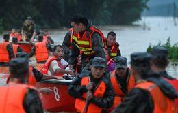 Mưa bão hoành hành ở Đông Bắc Trung Quốc, hàng loạt ô tô, xe bus kẹt trong nước lũ