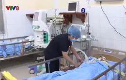 Lâm Đồng: 02 người ngộ độc hôn mê sâu do uống rượu