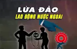 Sập bẫy "việc nhẹ lương cao", nhiều người mất tiền, thậm chí mất mạng ở nước ngoài