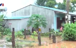 Đắk Lắk: Mưa lớn, một huyện hơn 50 ngôi nhà bị ngập