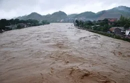 Cảnh báo lũ trên các sông ở khu vực Bắc Bộ, Thanh Hóa và Nghệ An