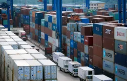 Việt Nam đứng thứ 11 trong top 50 thị trường logistics mới nổi