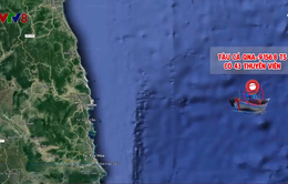 Tàu cá chở 43 ngư dân Quảng Nam bị chìm sau va chạm với tàu hàng nước ngoài