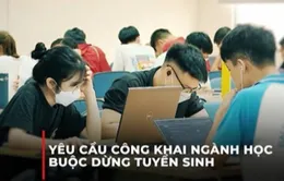 Các trường đại học phải công khai ngành dừng tuyển sinh