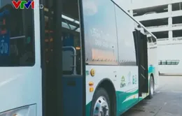 Bangkok lên kế hoạch chuyển hoàn toàn sang xe bus điện