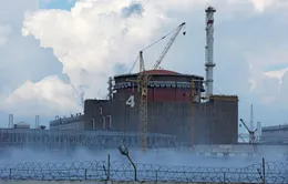Nguy cơ rò rỉ hạt nhân từ nhà máy Zaporizhzhia