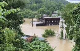 Lũ lụt nghiêm trọng ở Kentucky khiến ít nhất 37 người thiệt mạng