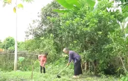 Cặp lá yêu thương: Vì con thương bà