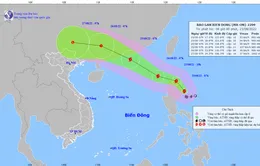 Bão Ma-on di chuyển theo hướng Bắc Tây Bắc, giật cấp 12