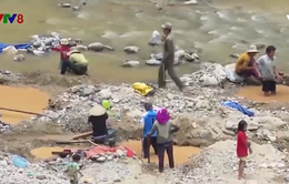 Nguy cơ tai nạn chết người từ việc bòn mót vàng lòng suối ở Quảng Nam