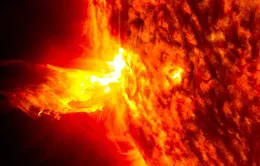 Bão mặt trời có thể đủ mạnh để "diệt vong" Trái đất hay không?