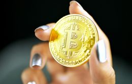 Bitcoin lại giảm giá