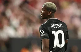 Để đá World Cup 2022, Pogba sẽ phải uống thuốc giảm đau liên tục