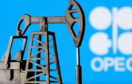 OPEC+ tăng sản lượng thêm 100.000 thùng/ngày