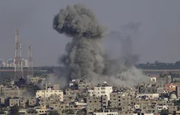 Israel - Palestine đồng thuận ngừng bắn ở Dải Gaza do Ai Cập làm trung gian