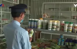 Đắk Lắk: Tăng cường kiểm tra, kiểm soát mặt hàng phân bón
