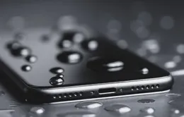 Làm gì khi iPhone của bạn bị ướt?