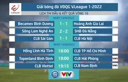 Lịch thi đấu và trực tiếp vòng 16 V.League 2022 hôm nay | Tâm điểm Topenland Bình Định vs CLB Hải Phòng