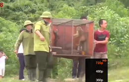 Hội thảo chuyên đề "Phòng chống buôn bán trái phép động vật hoang dã qua biên giới Việt - Lào"