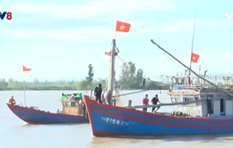 Thanh Hóa: Tàu thuyền nhộn nhịp vươn khơi
