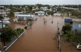 Bão Fiona đổ bộ vào quần đảo Turks và Caicos