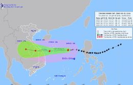 Bộ Y tế chỉ đạo sơ tán các đơn vị cấp cứu, hồi sức tích cực, người bệnh nặng, thở máy... trong vùng bão