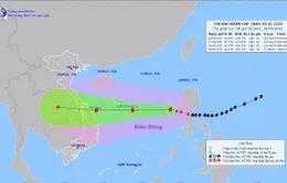 48 giờ nữa, bão số 4 đổ bộ các tỉnh Quảng Trị - Quảng Ngãi