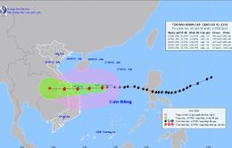 CẬP NHẬT: Bão số 4 tăng 1 cấp, dự báo còn mạnh thêm