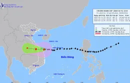 TƯỜNG THUẬT: Hình ảnh bão số 4 quần thảo trên các đảo và ven biển miền Trung