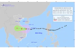 Cường độ bão số 4 đổ bộ nhỏ hơn 1-2 cấp so với dự báo ban dầu