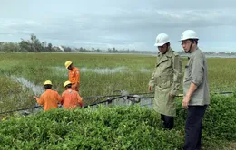 Hàng trăm ngôi nhà bị tốc mái, hơn 100.000 người bị mất điện sau bão số 4