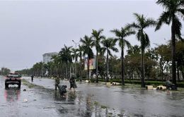 Quảng Nam: Người dân bắt đầu dọn dẹp, khắc phục hậu quả bão số 4