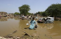 Mưa lũ nghiêm trọng ở Pakistan: Số người thiệt mạng vượt 1.200, dự báo mưa lớn tiếp diễn