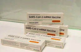 Vaccine COVID-19 công nghệ mRNA của Trung Quốc lần đầu tiên được cấp phép ở Indonesia