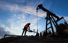 Đằng sau động thái cắt giảm sản lượng của OPEC+