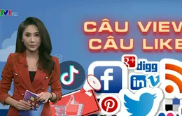 "Câu Like", "câu view" trên MXH: "Thông tin rác đang nhấn chìm chính chúng ta"