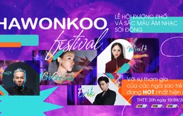 Erik, Miu Lê góp mặt trong lễ hội đường phố Hawonkoo Festival