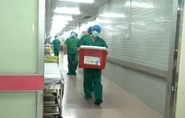 Cô gái 25 tuổi hiến tạng cứu sống 6 người