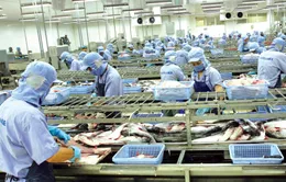 Xuất khẩu bùng nổ nhờ các hiệp định thương mại