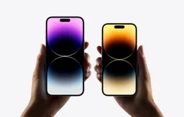 iPhone 14 Pro gặp lỗi liên quan đến màn hình