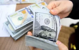 Tỷ giá trung tâm lao dốc sau 3 phiên tăng liên tiếp