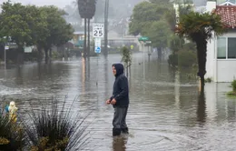Bang California tiếp tục hứng chịu mưa xối xả, gió lớn và lũ lụt