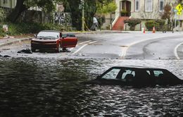 Bão ở California: Số người tử vong tăng lên 16, hàng nghìn người được yêu cầu sơ tán