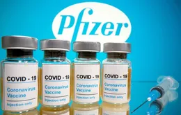 Có mối liên hệ giữa mũi vaccine COVID-19 “lưỡng trị” của Pfizer với đột quỵ?